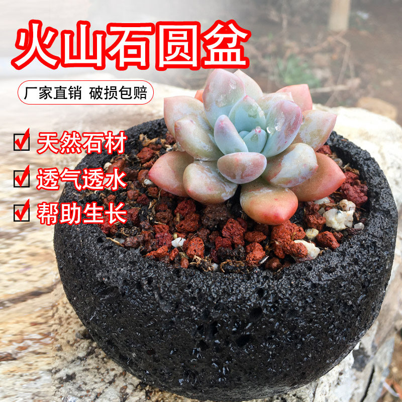 火山石花盆透气吸水石简约复古圆盆多肉玉露菖蒲绿植盆栽专用花盆,鲜花速递/花卉仿真/绿植园艺,花盆,淘宝优惠券,粉丝福利购,淘宝优惠卷