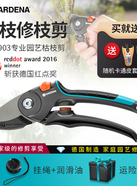 速发GDE园嘉丁枝家用A林剪刀 园艺树枝剪拿修枝剪果树剪