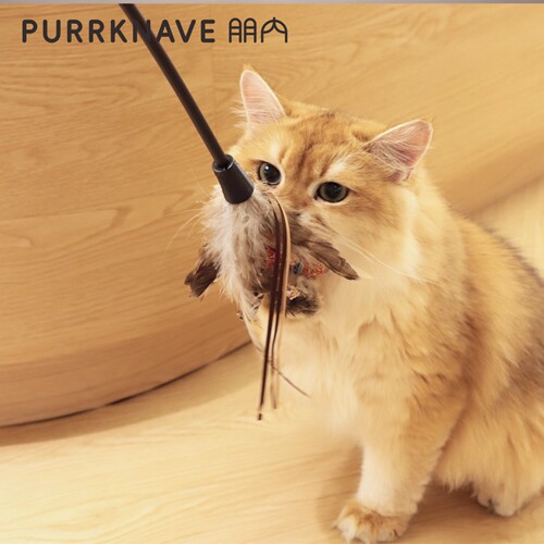 PurrKnave猫玩具自嗨解闷神器逗猫棒羽毛耐咬养猫幼猫宠物用品
