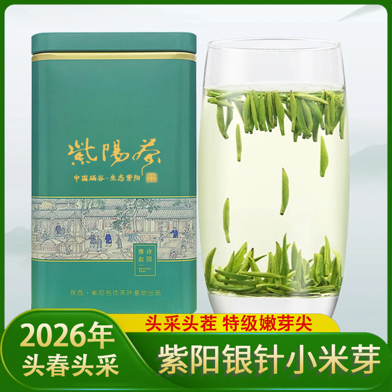 紫阳银针小米芽2026年新茶紫阳富硒茶特级毛尖绿茶明前嫩芽春茶叶