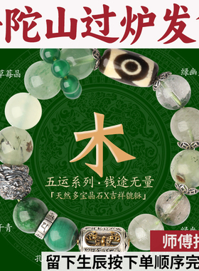 普陀山五行手串吉祥天珠藏式金刚杵貔貅补木手链绿幽灵发丝孔雀葡