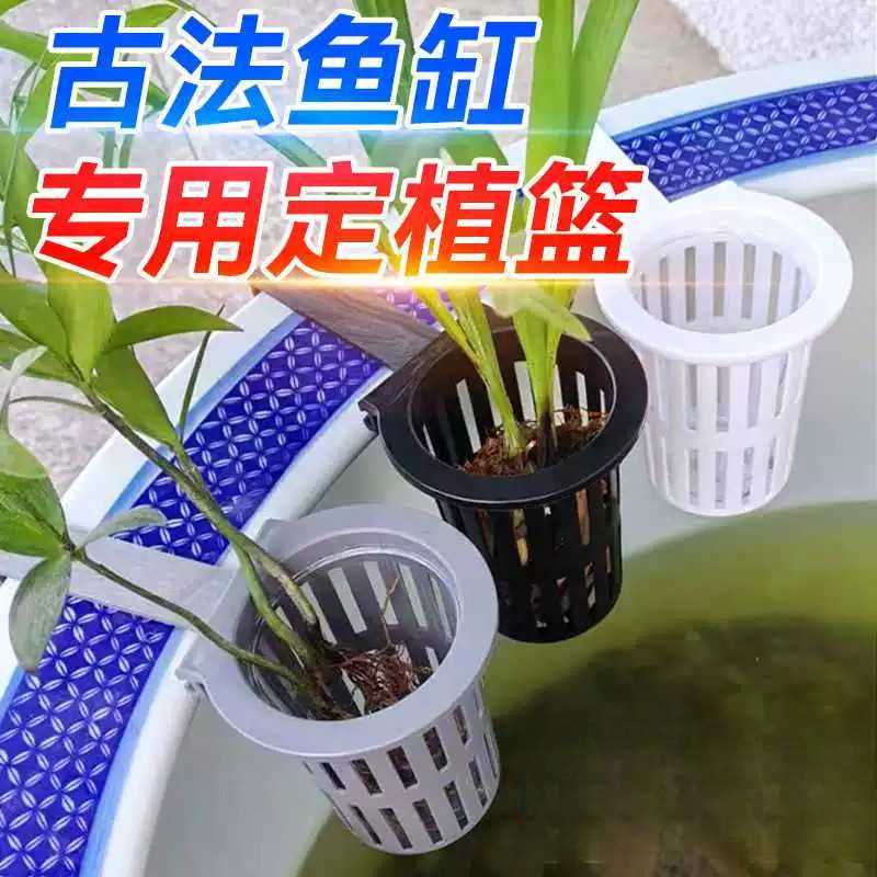 古法鱼缸水培定植篮壁挂式水草盒子加深大号周转箱造景植物控根盆