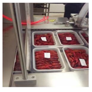 湖北龙虾全自动连续拉伸真空包装机 食品厂全自动真空包装设备