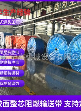 PVG800S-1400mm橡胶面阻燃皮带PVG800S-1000mm整芯阻燃输送带