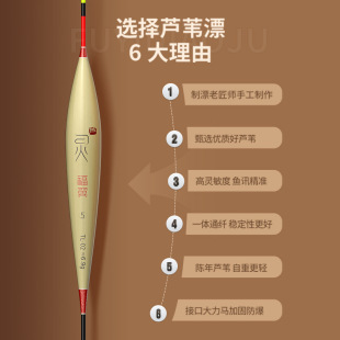 福翼TL芦苇大物漂鲢鳙青草鱼翘嘴鱼漂高灵敏加粗醒目优质芦苇浮漂