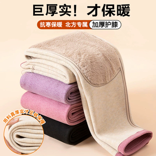 保暖裤女士冬季加绒加厚防寒内穿棉毛裤女款高腰绒德护膝打底秋裤