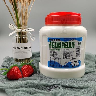 花园酸奶2.4斤大桶罐装新疆特产原味低温酸奶全脂风味发酵乳