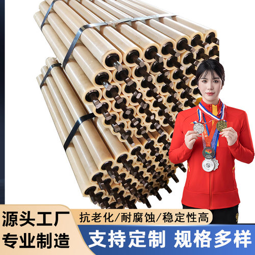尼龙托辊高分子托辊非标定制