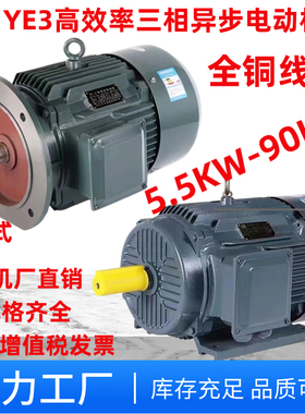 纯铜三相异步电动机380v11/15/18.5/22/30/37/45变频5575kw90千瓦