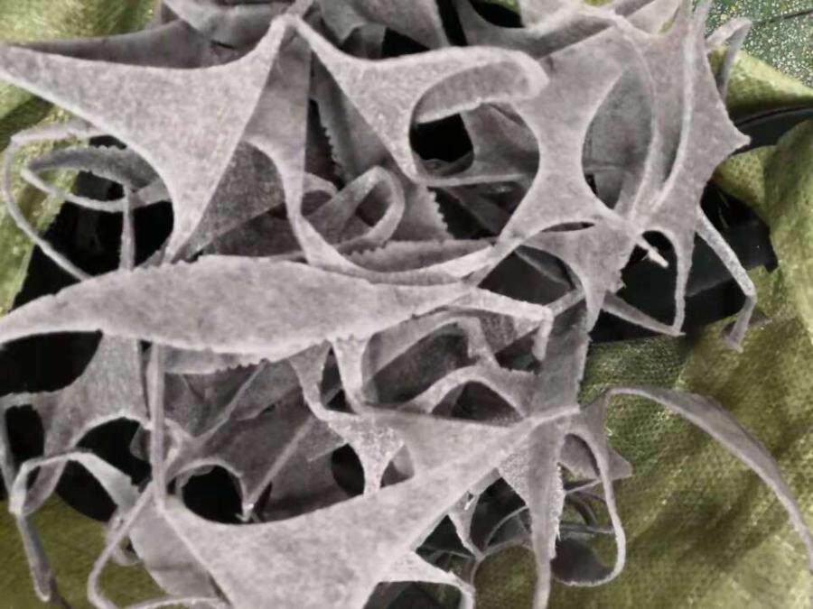 3月10日中山牛皮等12项边角料一批网络拍卖公告