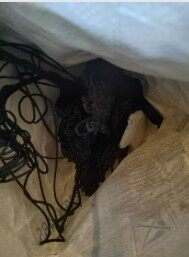 3月31日威海市树脂颗粒边角料网络拍卖公告