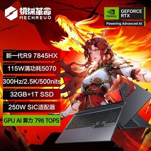 MECHREVO机械革命25款蛟龙16pro R9独显5060学生制图高笔记本电脑