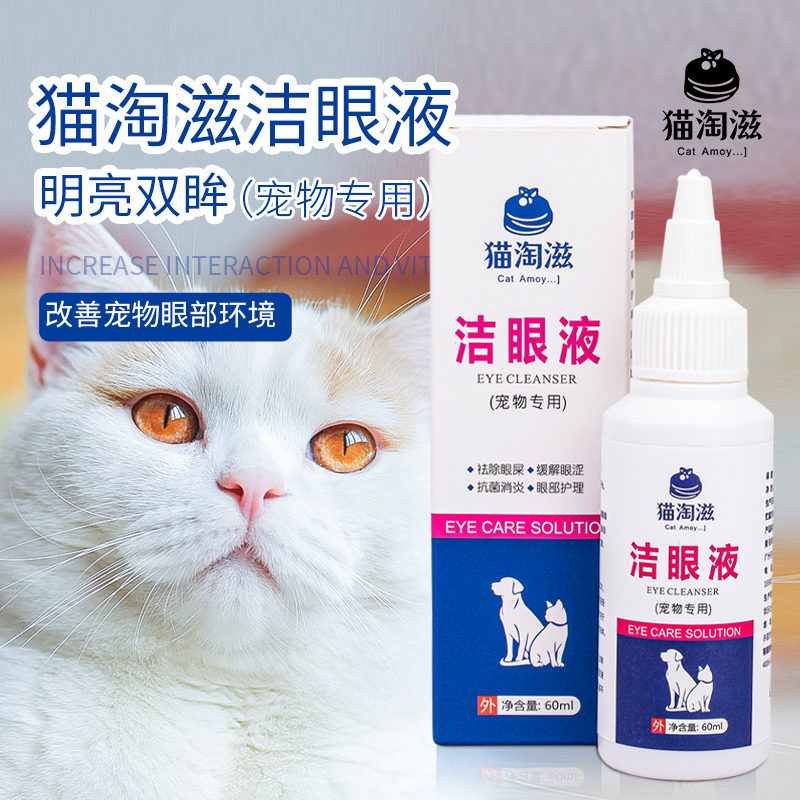 猫咪宠物发炎流脓眼部清洁