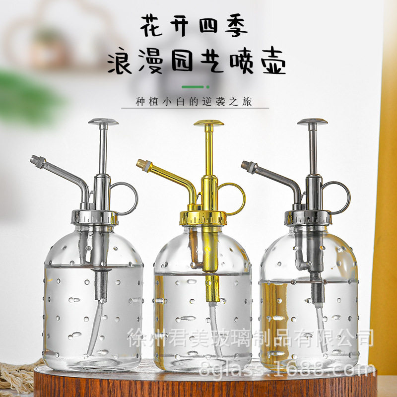 透明雨点玻璃喷壶350ml桌面园艺盆栽多肉浇水壶浇花工具