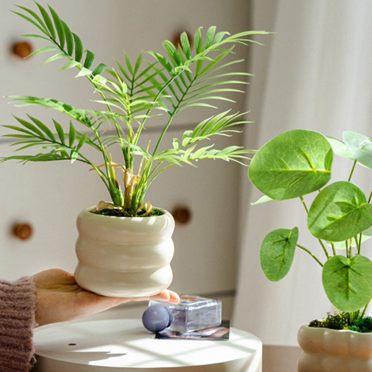 仿真绿植小型盆栽发财树