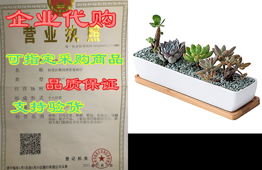 JIAEN 11-inch Succulent Planter Pots/Mini Flower Plant Co