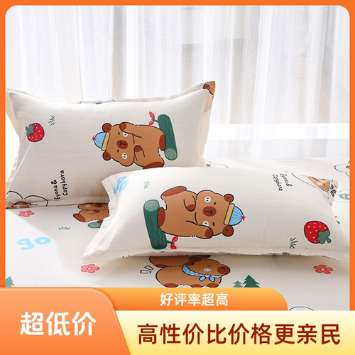 一对装磨毛单人学生枕头套