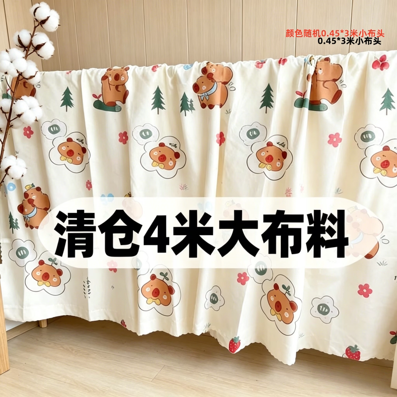 清仓特价处理4米大块布料可DIY床单被套隔断布防尘布沙发罩小布料图片