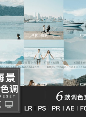 青色调清新海边LR预设PS调色PR滤镜 light插件room手机版LUT/FCPX