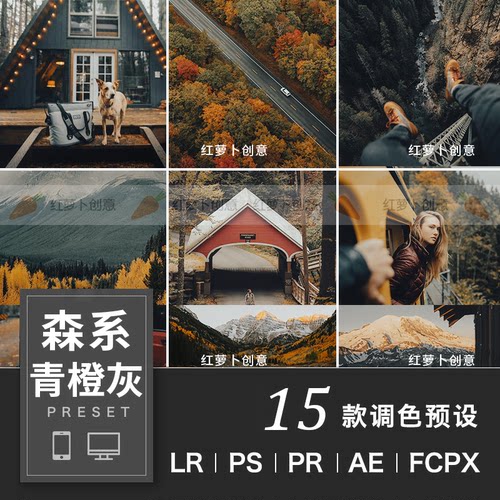 LR青灰纪实森系青橙色LR预设调 PS调色PR插件FCPX泼辣VN手机版LUT