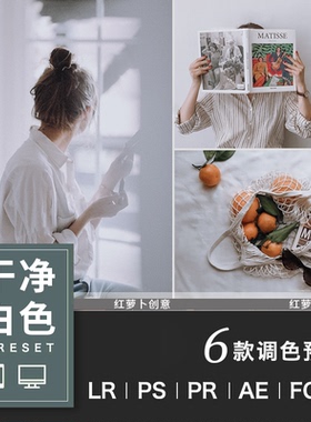 PS北欧风白色滤镜LR预设室内人像旅拍手机APP滤镜FCPX-PR调色LUT