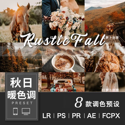 秋天调色秋日暖色调LR预设PSPR剪映LUT用light插件room手机版FCPX