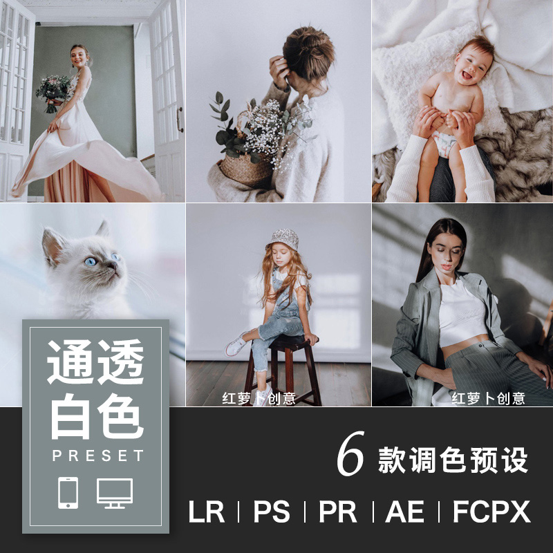 莫兰迪色调室内静物人像胶片