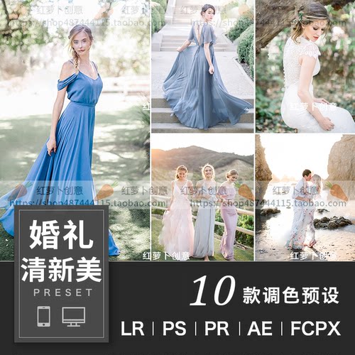 ins婚礼跟拍人像PS清新LR预设HDR达芬奇FCPX手机APP滤镜PR调色LUT