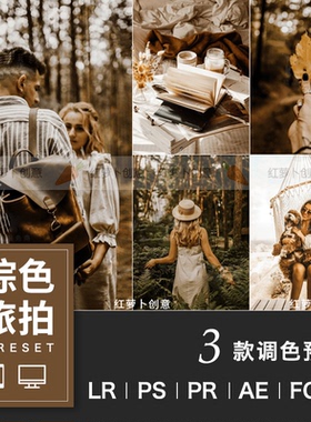 棕色旅拍胶片LR预设ps摄影fcpx acr camera raw调色lr调色lut修图