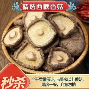 西峡特产大香菇六厘米以上一斤包邮全干餐饮专用质量保证无根香菇