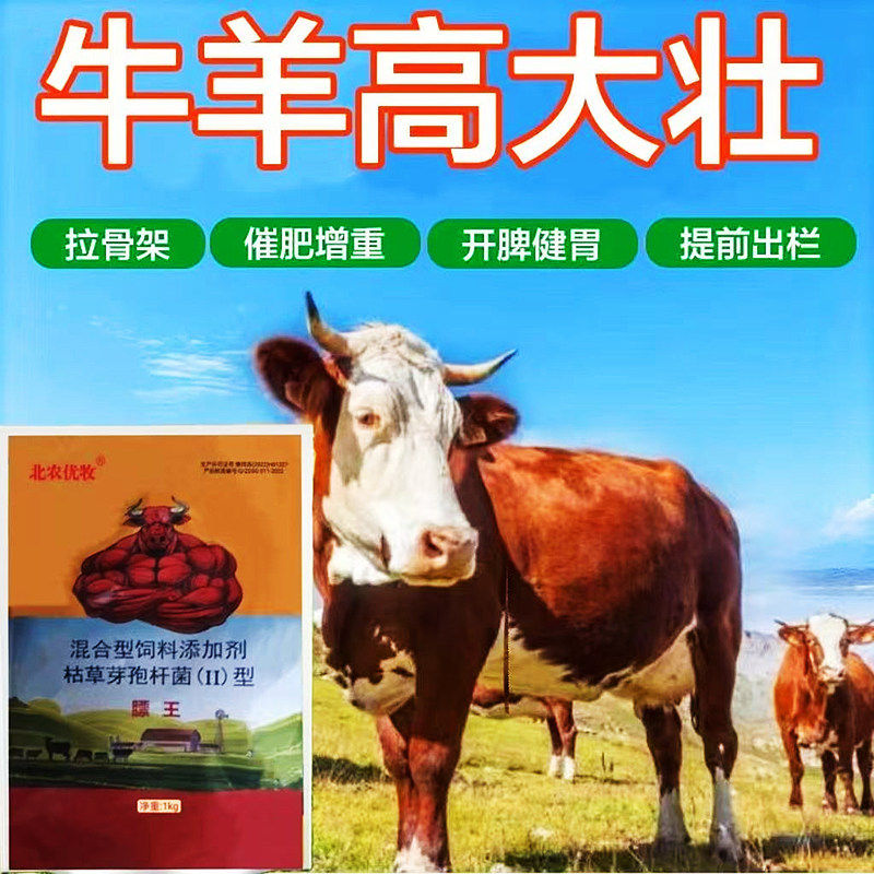 牛羊膘王拉大骨架壮膘催肥肉牛