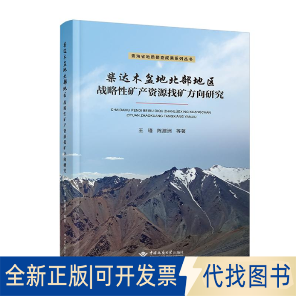 全新正版柴达木盆地北部地区战略矿产资源找矿方向研究/青海省地质勘查成果系列丛书王瑾//陈建洲 著9787562552376 - 实物图