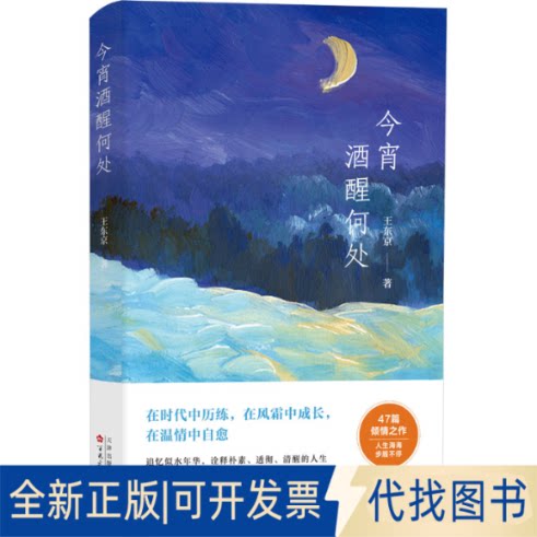 全新正版今宵酒醒何处王东京9787530686683百花文艺出版社2023-11-01