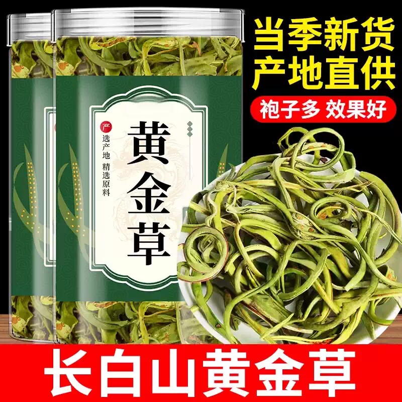 长白山野生化石草小叶正品肾精茶的功效泡水喝中药材胆结经黄金茶