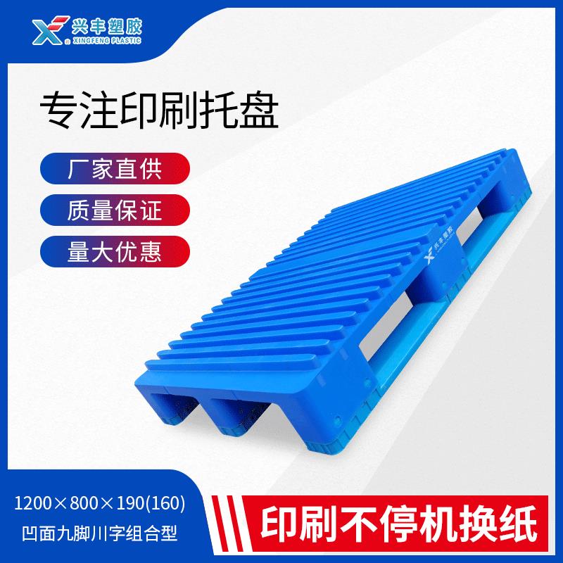 厂家大承载力印刷塑料垫板防静电平板川字型两面进叉托盘