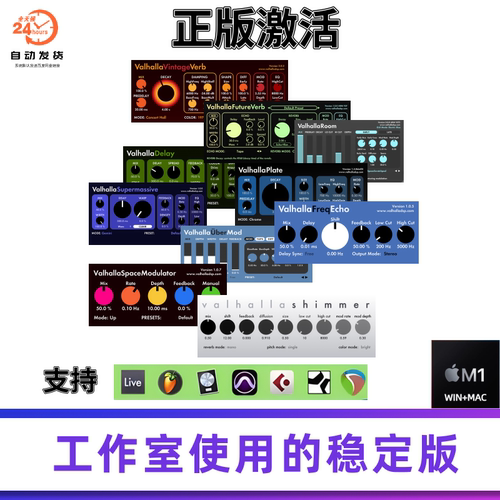 正版FutureVerbVintageVerb