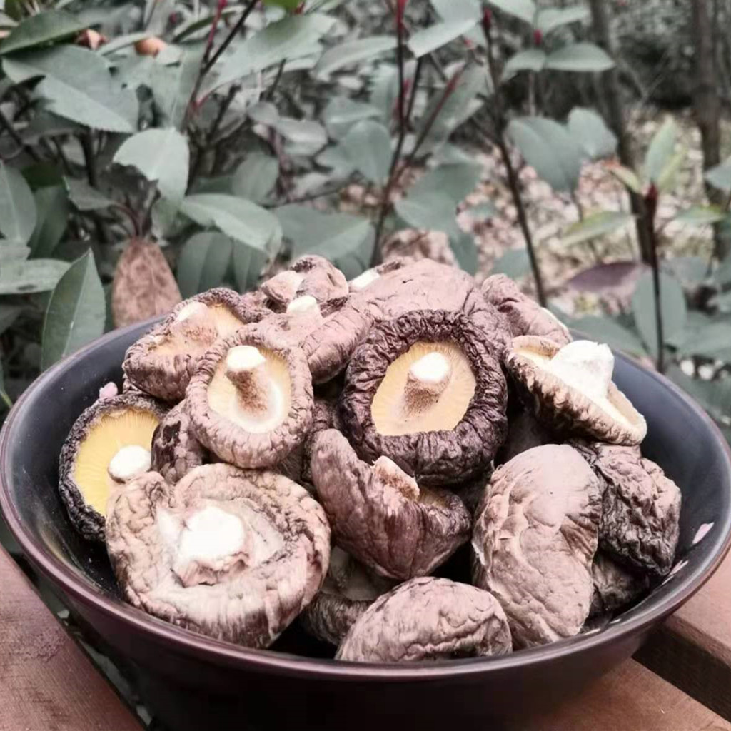 一级香菇干货特产冬菇剪脚500g一斤包邮榛蘑食用菌河南花菇类促销