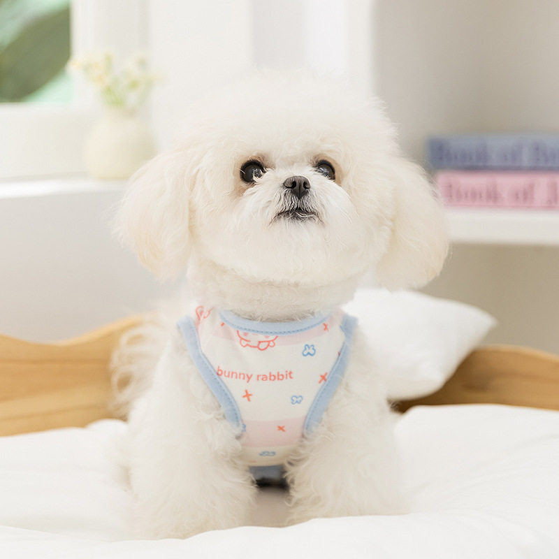 狗狗衣服泰迪雪纳瑞四季