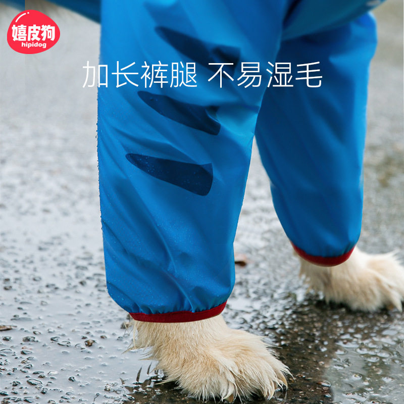 金毛狗狗大狗雨衣中大型