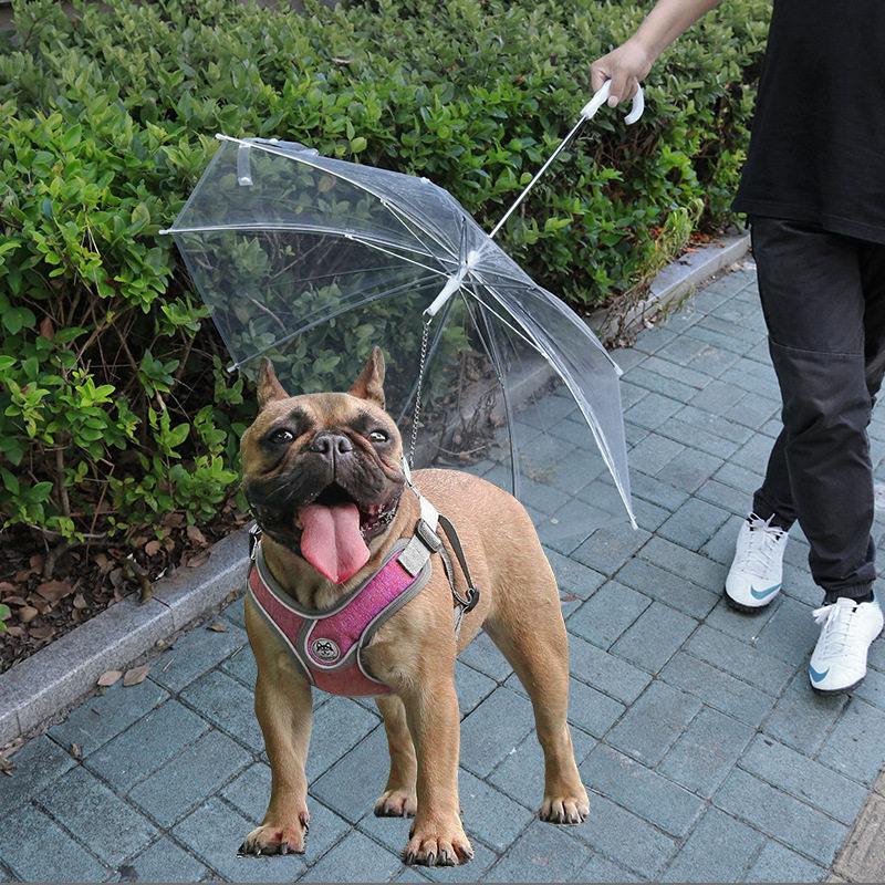 狗狗雨伞宠物泰迪比熊小