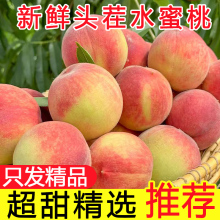 水蜜桃5斤水果新鲜当季整箱脆甜毛桃包邮应季现摘油密软时令桃子
