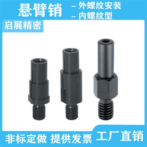 悬臂销FXBB PFXBB SFXBB台阶型外螺纹安装内螺纹型代替米思米定做