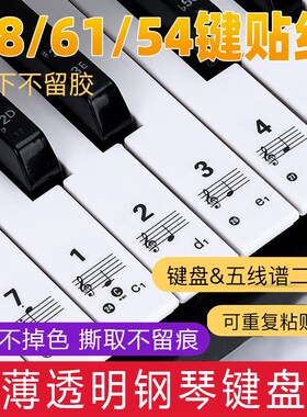 透明钢琴电子琴键盘贴纸88/76/61/54/49键琴键贴五线谱简谱按键贴