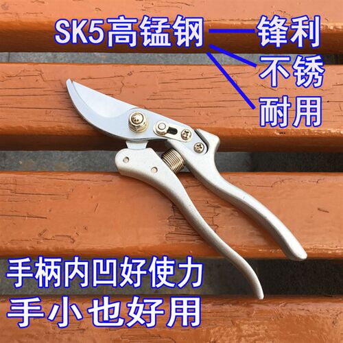新款修枝剪刀 园艺园林树枝果枝老枝粗枝剪绿化草坪花枝修剪 包邮