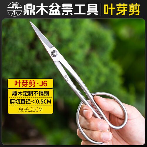 整枝小枝工具剪刀修枝剪刀叶芽剪插花剪专用鼎制作修剪木盆景叶剪