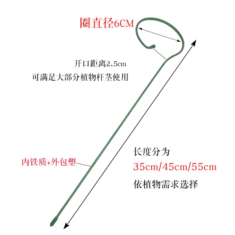 植物防倒伏支架铁艺绣球吊兰支撑杆园艺固定架爬藤花卉朱顶红花架