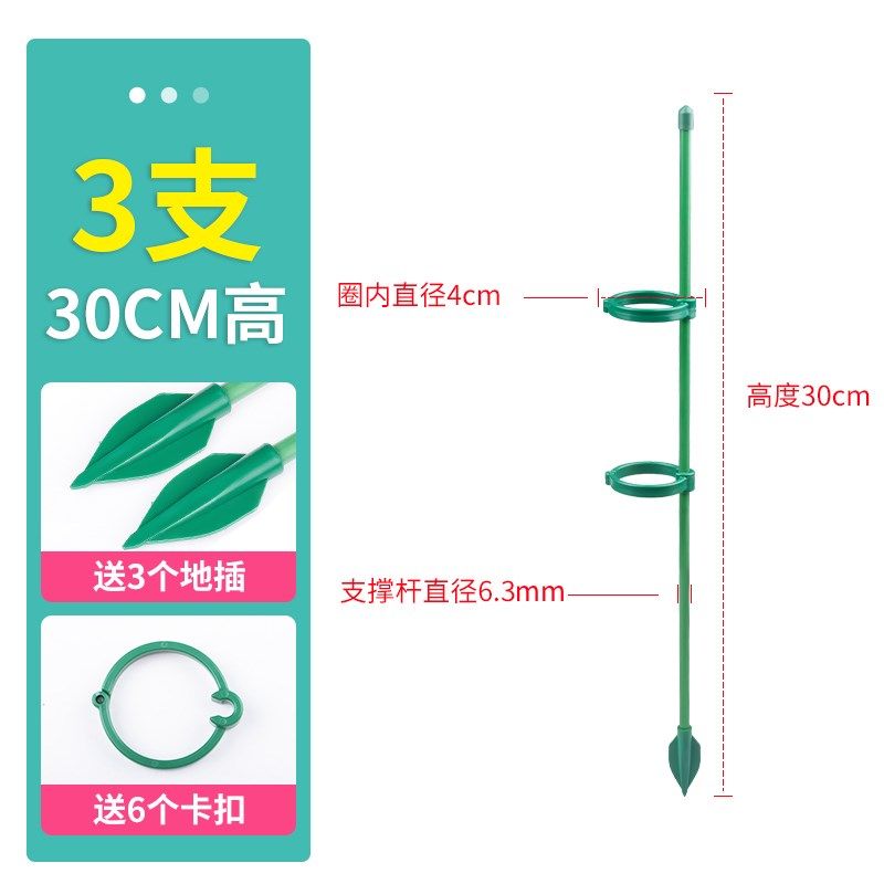 植物支撑杆龟背竹花支撑架绿植园艺蔬菜固定神器番茄西红柿爬藤架,玩具/童车/益智/积木/模型,其它早教玩具类,淘宝优惠券,粉丝福利购,淘宝优惠卷