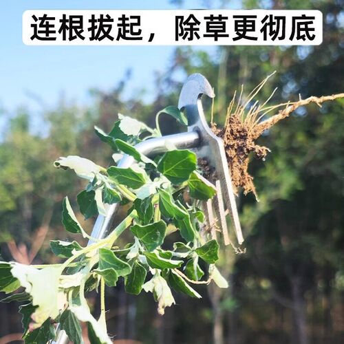 新款除草神器连根拔草工具园艺耙子除根锰钢小号手松土挖野菜杂草