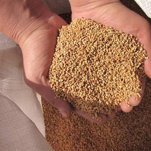 核桃壳磨料 玉石佛珠振动研磨抛光机喷砂机 核桃壳碎粒 抛光砂