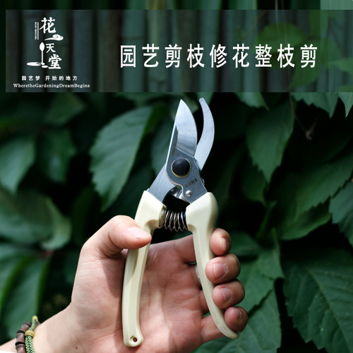 佐川田果树修枝剪剪枝剪园艺修花整枝剪园林省力修剪粗枝树枝剪刀